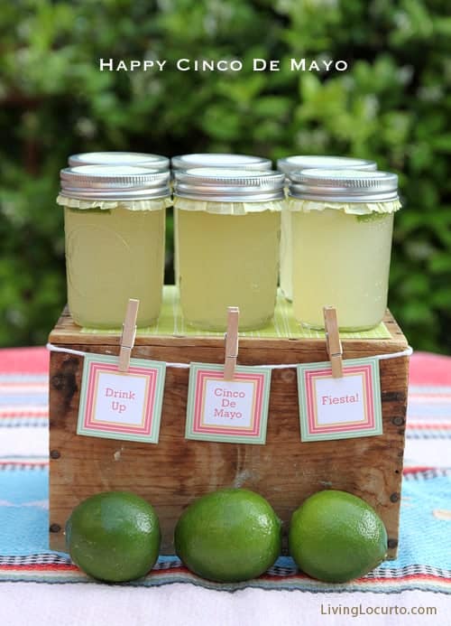 25 Cinco De Mayo Party Ideas Lolly Jane